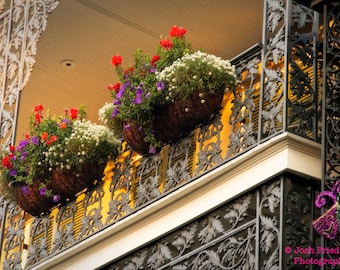 New Orleans Photography, French Quarter Balcony, Red, White and Purple Flowers, NOLA Photograph, Cast Iron, Architecture, Royal Street