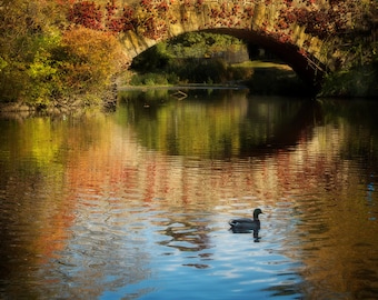 Gapstow Bridge and Reflection, Landscape Photography, The Pond, Central Park, New York City, Nature Photograph, Autumn, Fall, Wall Art Print