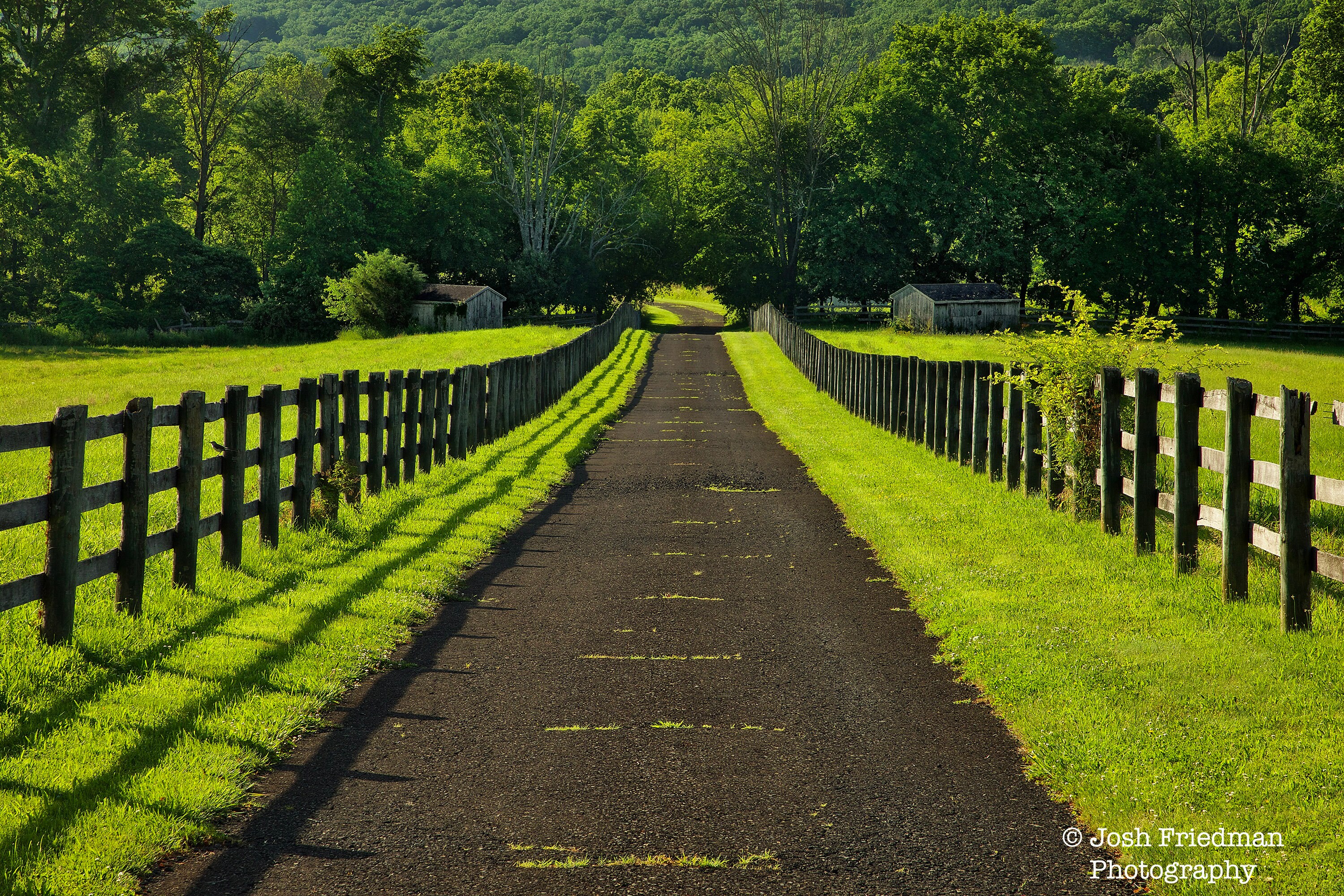 Barbed Wire Photography Print | Farm and Ranch Picture | Country Wall Art |  Oklahoma Photo | Western Decor | Not Framed, image size:3000x2000