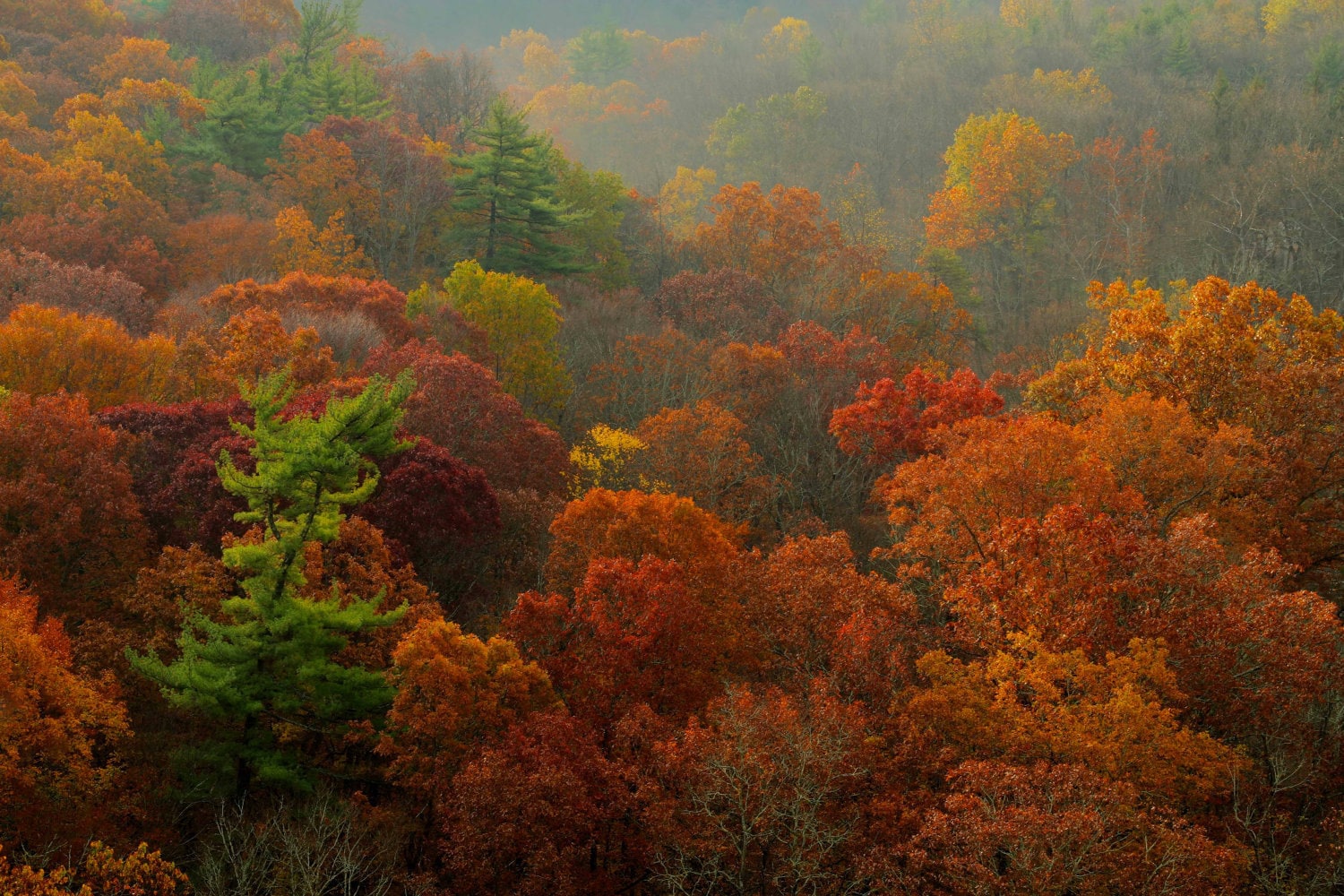 Autumn Foliage and Rolling Hills Nature Photography High Rocks Etsy