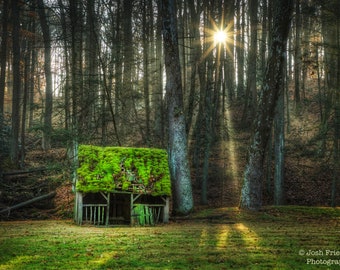 Old Wood Shed with Moss at Sunrise Photograph Cuttalossa Farm Trees Mist Sun Green Autumn Bucks County Pennsylvania Landscape Photography