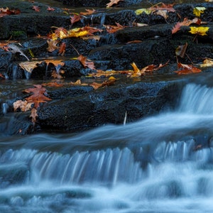 Nature Photography Waterfall Autumn Leaves Fall Foliage New York Wall Art White Zen Fine Art Photography Corbetts Glen Park