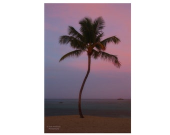 Bahamas Winding Palm Tree  Dusk Tropical Beach Landscape Photograph Atlantis Sunset Dusk Pink Sky Nature Photography Ocean Paradise Island