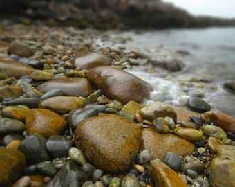 Maine Photograph Nature Photography Acadia National Park Ocean Coast Rocks Landscape Photograph Earth Tone Art Print Home Decor