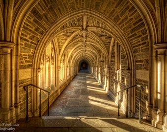 プリンストン大学 ホルダーホールの写真 キャンパスの廊下のアーチ