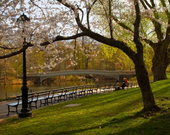 Central Park Bow Bridge New York City Spring Landscape Photograph Path Color Photography Benches Flowers Nature Zen Manhattan Print