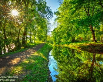 Delaware Canal Towpath Spring Sunrise Photograph Solebury Bucks County Pennsylvania State Park Nature Photography Reflection Trees Sunburst