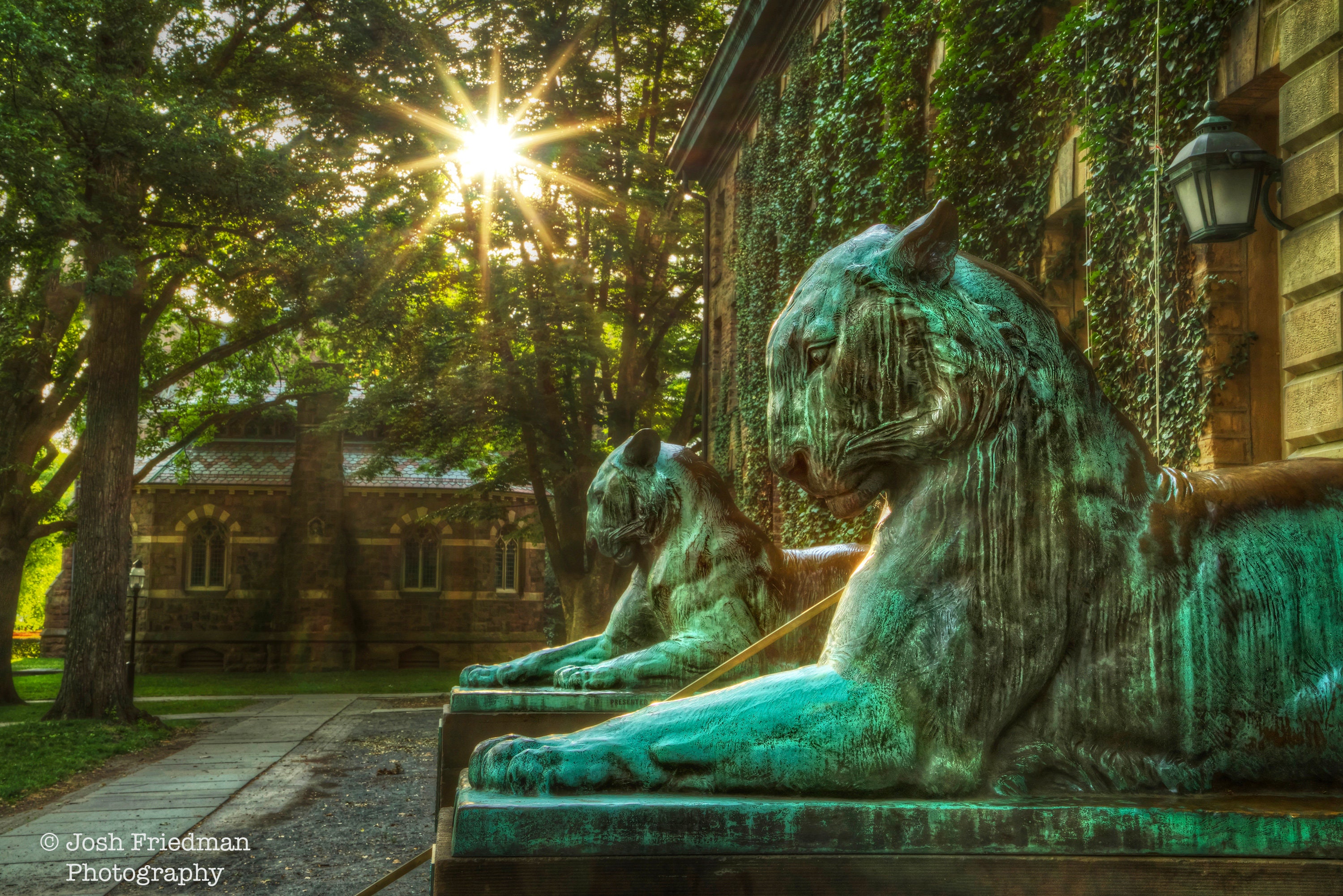 Princeton University Photograph Bronze Tiger Statues Nassau Hall Sunrise  Sun Ivy League College Photography Alumni Graduation Gift Campus - Etsy  Canada