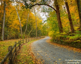 Autumn Landscape Photograph, Bucks County Print, Cuttalossa Road, Fall Foliage, Fence, Stone Wall, Trees, Autumn Color, Winding Road Photo