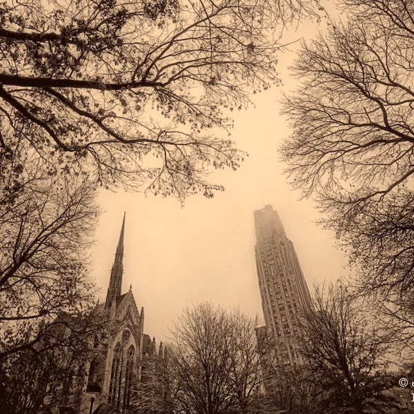 University of Pittsburgh Photograph, Winter Sky Over Pitt, Sepia Photography, Cathedral of Learning, Heinz Chapel, Pennsylvania, Alumni Gift