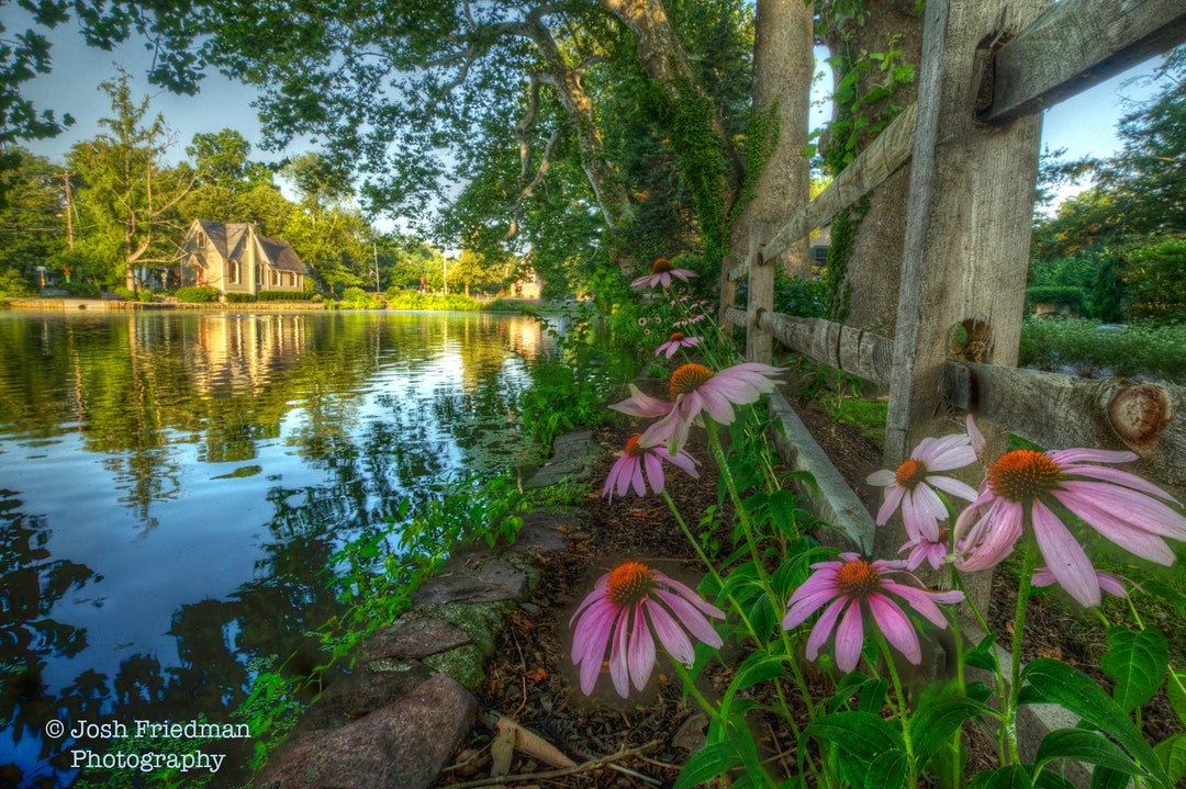 Lake Afton and Old Library in Summer Echinacea Flowers Etsy
