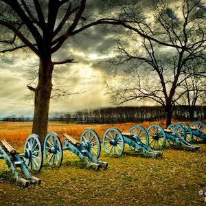 May include: A row of six antique cannons with blue painted wheels and barrels, set against a backdrop of trees and a cloudy sky. The cannons are positioned in a field with dry grass and a large tree in the foreground.