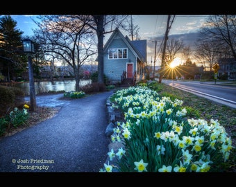 Old Library Spring Sunrise Photograph Yardley Lake Afton Daffodils Flowers Bucks County Pennsylvania Morning Landscape Photography Print