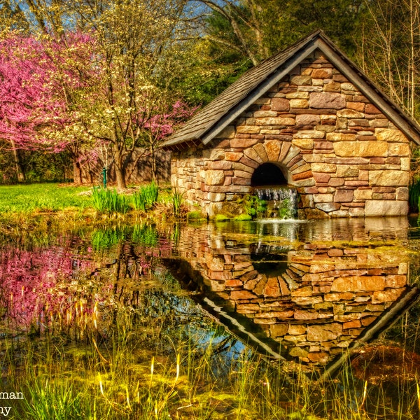 Bowman's Hill Wildflower Preserve Pond Photograph Redbud Trees Reflection Bucks County Pennsylvania Nature Photography Stone Springhouse