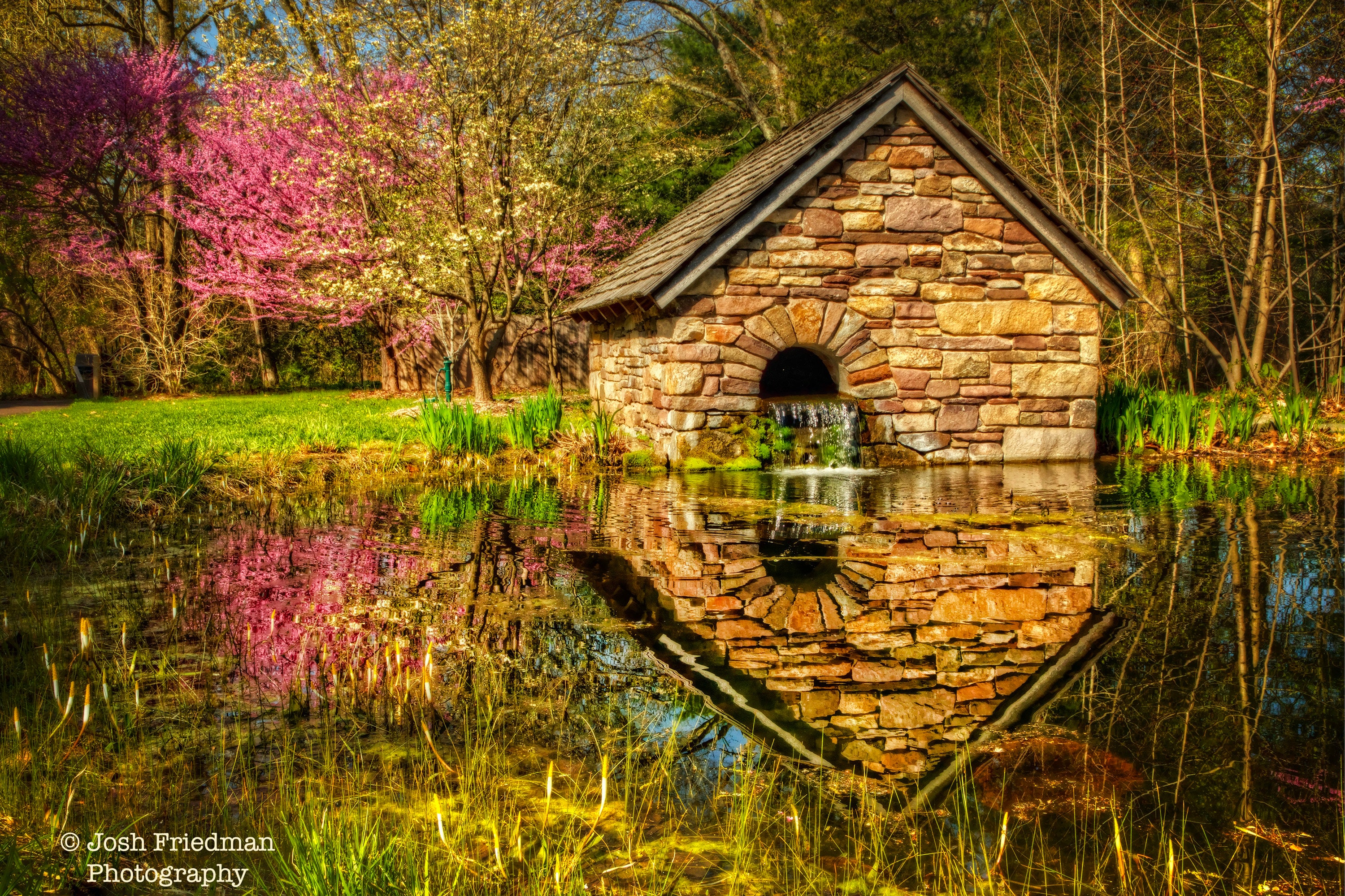 Bowman S Hill Wildflower Preserve Pond Photograph Redbud Etsy Ireland