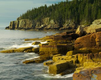 Otter Cliff Acadia National Park Landscape Photograph Maine Coast Nature Photography Rocky Coast Ocean Water Art Print Earth Tone Home Decor