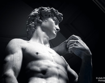 David sculptuur Michelangelo zwart-wit foto Florence Italië Renaissance kunst Accademia galerij marmeren standbeeld fotografie buste