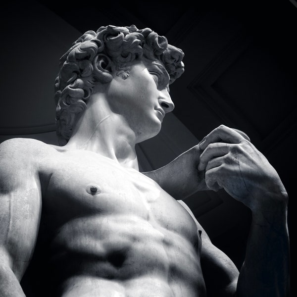 David Sculpture Michelangelo Black and White Photograph Florence Italy Renaissance Art Accademia Gallery Marble Statue Photography Bust