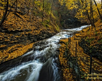 Cascadilla Gorge Autumn Landscape Photograph Creek Fall Foliage Water Trail Leaves Ithaca New York Nature Photography Cornell University