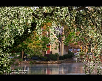 Lake Afton Old Library Spring Flowers Photograph Yardley Bucks County Pennsylvania Photography Trees White Flowering Tree Morning Light
