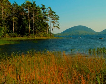 Eagle Lake Acadia National Park Maine Landscape Photograph Summer Nature Photograph Green Grass Mountain Color Nature Photography Print