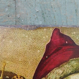 Peut inclure: Une carte de No&euml;l de style vintage avec un gros plan sur le chapeau rouge du P&egrave;re No&euml;l et une partie de son visage. L'arri&egrave;re-plan est de couleur jaune-brun textur&eacute;e avec un motif blanc mouchet&eacute;.
