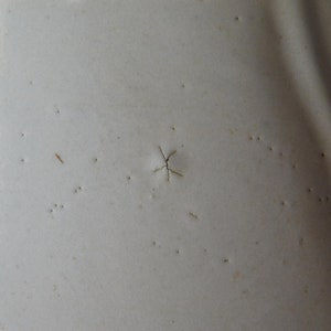 May include: Close-up of a textured, off-white surface with small, dark imperfections. A star-shaped crack is visible near the center. The surface appears to be painted or coated.