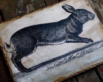 Primitive Farmhouse Rabbit Print Wood Art Wall Hanging, Easter Spring Decor