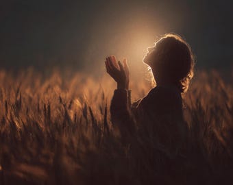 Mujer en un campo de trigo dorado PNG / Retrato cinematográfico al atardecer (Uso comercial)