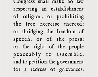FIRST AMENDMENT Freedom of Speech T-Shirt