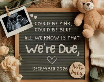 Pregnancy Announcement Template,Neutral Boho Simple Social Media Reveal Teddy Bear Simple,Editable Baby Reveal Announcement,Boho Pregnancy