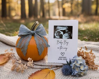 Könnte beinhalten: Ein orangefarbener Kürbis mit einer blauen Spitzenschleife, neben einer Karte mit einem Ultraschallbild und dem Text "Baby Boy on the way ARRIVING APRIL 2026". Die Szene spielt sich im Freien mit Herbstlaub ab.