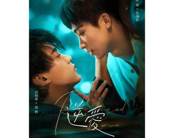 Revenged Love Light Novel, Englisch Digital PDF Novel eBook (Chinesisch BL Romanze)