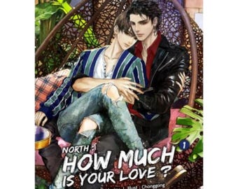 How viel ist deine Liebe - BL Romance Novel | Chinesische Danmei Jungenliebe | Englisches PDF