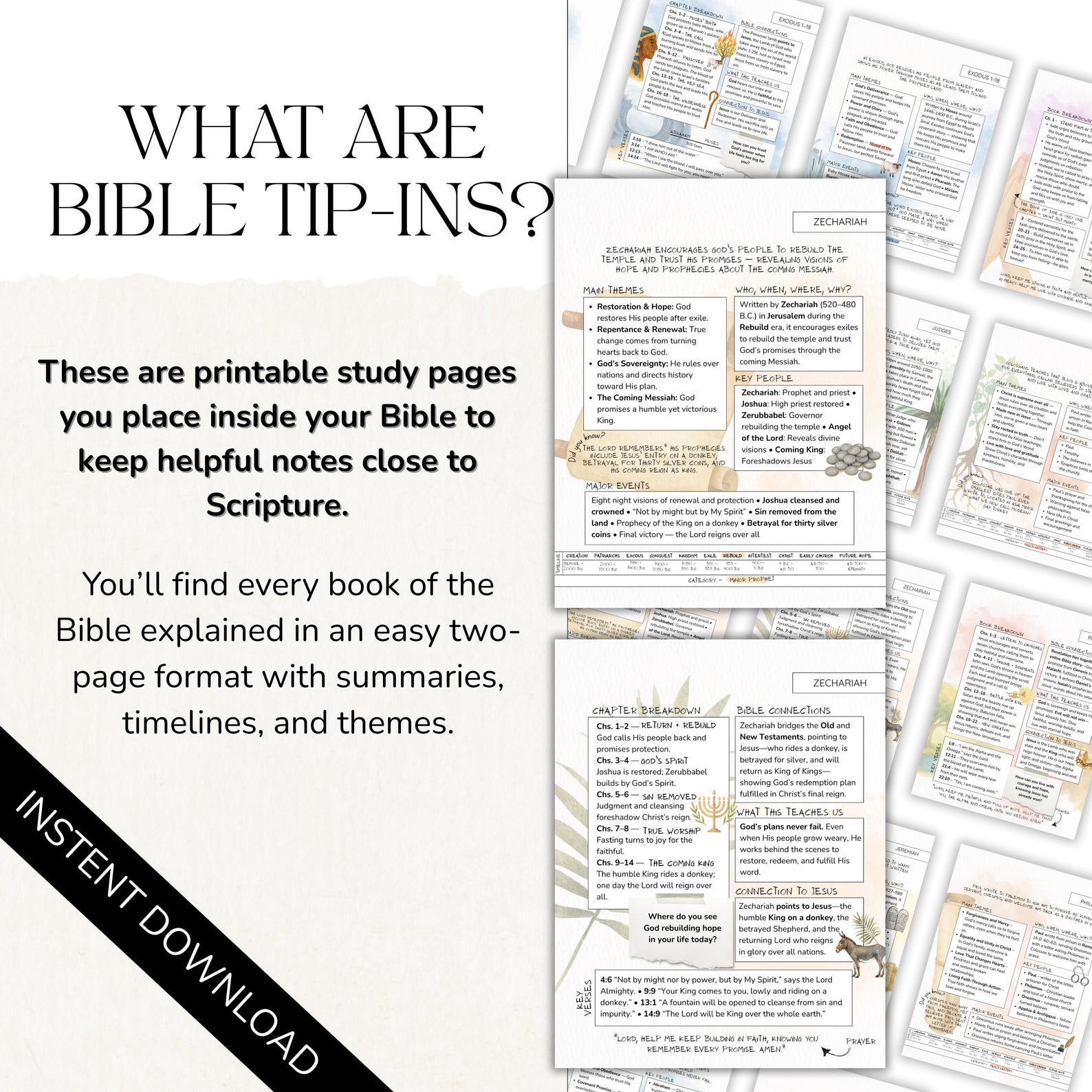 All 66 Books of the Bible Study Insert Tip Ins Journaling Printable - Etsy