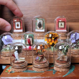 May include: A collection of miniature glass domes with cork bases, each containing tiny dioramas featuring items like dried flowers, small framed pictures, books, and candles. The domes are arranged in rows on a wooden surface.