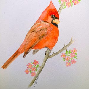 May include: Watercolor painting of a vibrant red cardinal perched on a branch with delicate pink blossoms. The bird has a black mask and a yellow beak. The artwork is set against a white background.