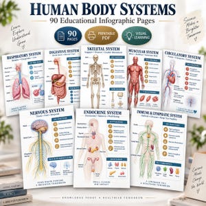 Op de afbeelding: Een verzameling educatieve infographic-pagina's getiteld Human Body Systems, met gedetailleerde anatomische illustraties van de ademhalings-, spijsverterings-, skelet-, spier-, bloedsomloop-, zenuw-, endocriene en immuunsystemen met tekstlabels.