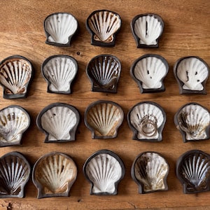 May include: A collection of ceramic seashell-shaped dishes with a dark rim. The dishes have a white interior with brown and tan accents. The dishes are arranged on a wooden surface.