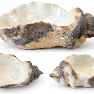 Puede incluir: Un cuenco de cerámica con forma de caracola que presenta un interior blanco brillante y un exterior texturizado y mate con tonos moteados en beige, marrón claro y gris carbón. La pieza tiene un borde irregular y una cola en espiral.