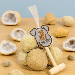 Puede incluir: Un conjunto de geodas en una bolsa de malla, con un mazo de madera y una etiqueta con una ilustración de perro. Varias geodas abiertas con interiores de cristal están dispersas sobre una superficie de madera. La etiqueta dice "geodes crack open the fun."