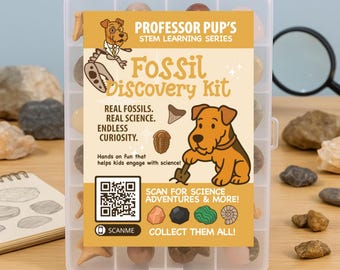 Kit de Descoberta de Fósseis: Fósseis Reais para Crianças (Aprendizagem e Exploração STEM)