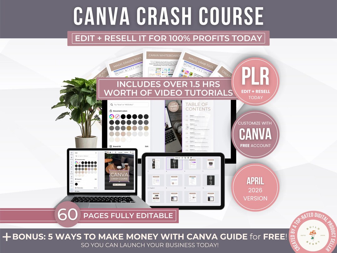 Canva Crash Course With PLR Use Rights Editable Template, Canva ...