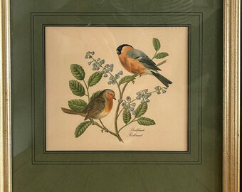 Juego de 2 láminas litográficas vintage de aves de John James Audubon, de 30 x 30 cm, con marcos de madera.
