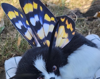 Schmetterling, Welpe, Textiltierbild, Skulptur