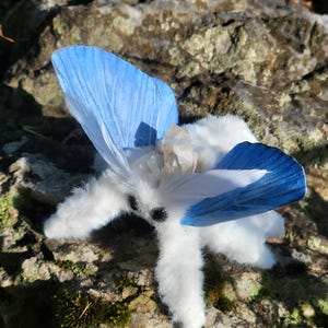 Aqua winged moth soft textile sculpture, doll, figure, insect art , entomology gift image 4