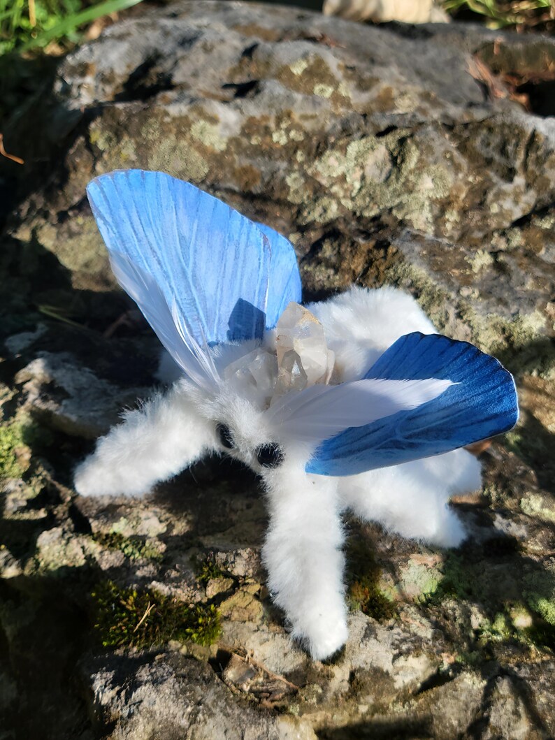 Aqua winged moth soft textile sculpture, doll, figure, insect art , entomology gift image 4