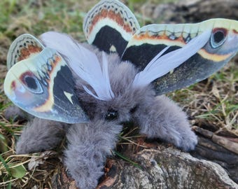 Smoke moth, ooak,  textile taxidermy,  plush,ornament, entomology,  insect, bug gift