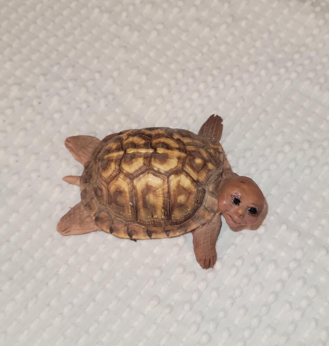 Hand Sculpted Turtle Inside Real Turtle Shell, OOAK - Etsy
