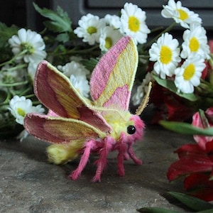 May include: A plush moth toy with pink, yellow, and brown wings, pink legs, and a yellow body. The moth is surrounded by white daisies and red flowers, creating a whimsical scene.